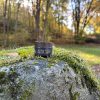 Mother Nature's Shilajit 6st - Bild 3